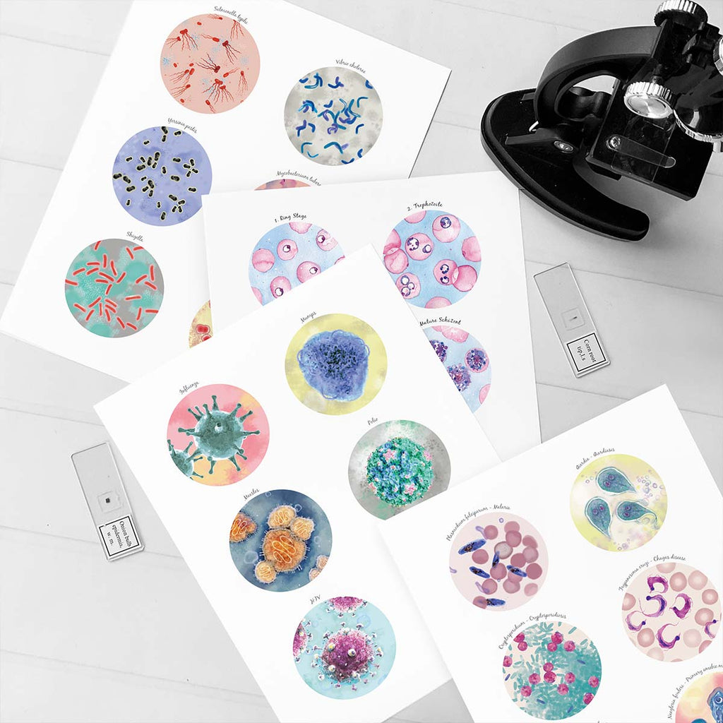Microbiology collections