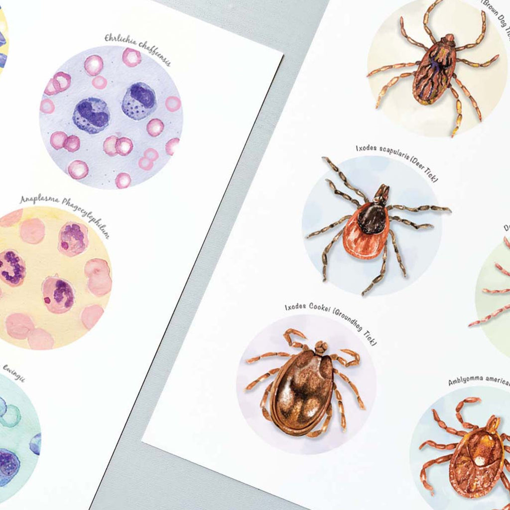 Parasitology