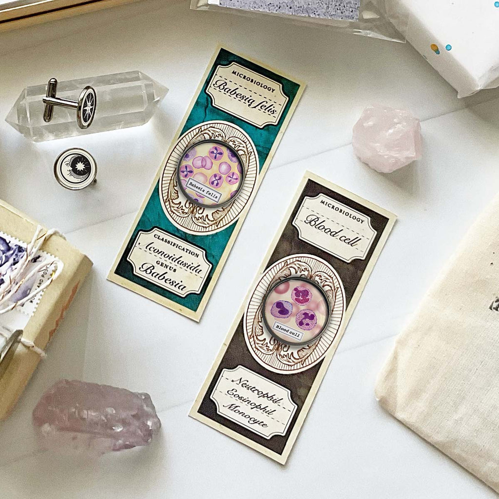 Sciencey Accessories