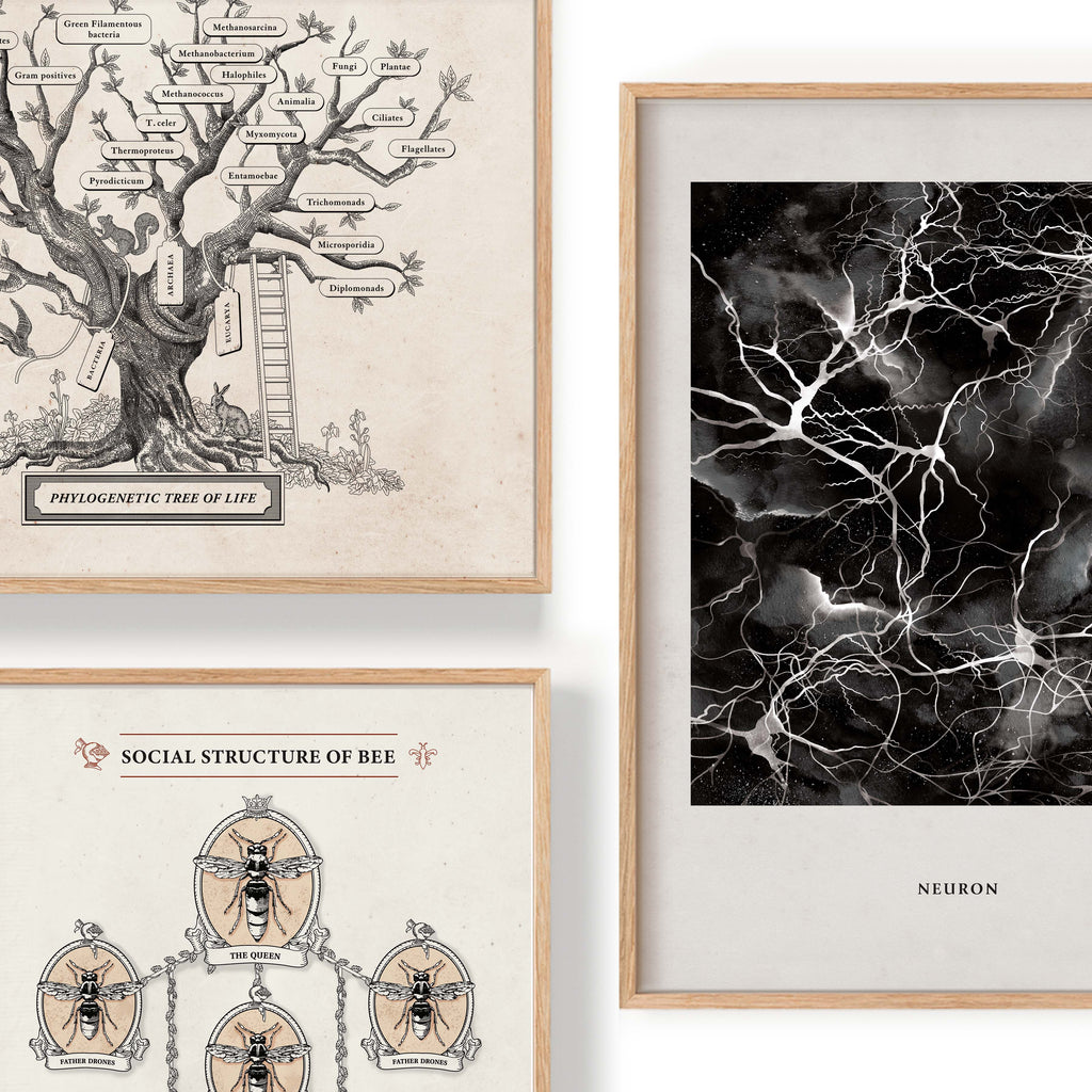 Vintage Style Science Art