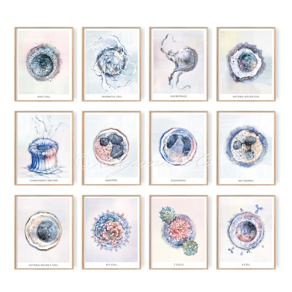Immune System 12 posters set