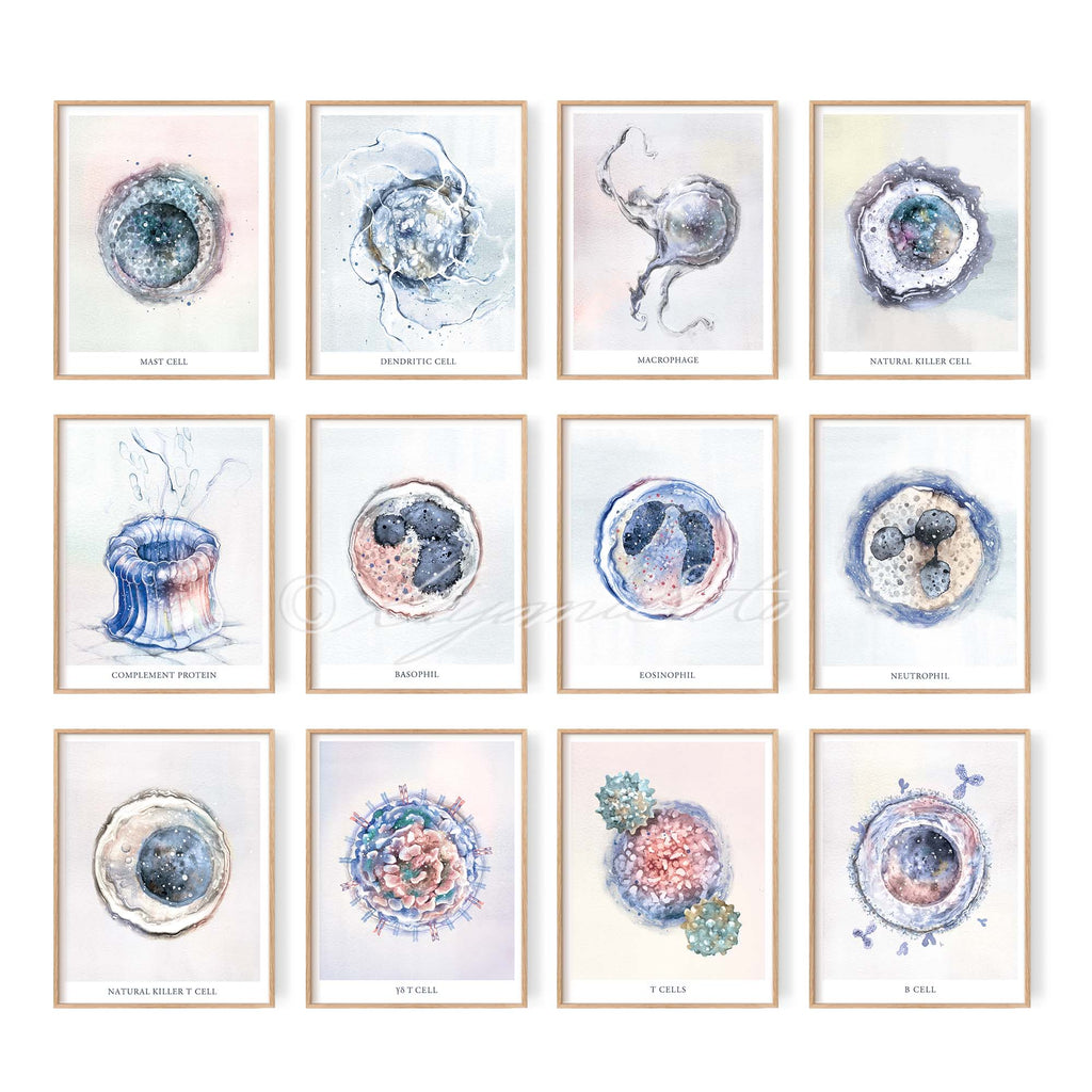 Immune System 12 posters set – The Forest Cloak