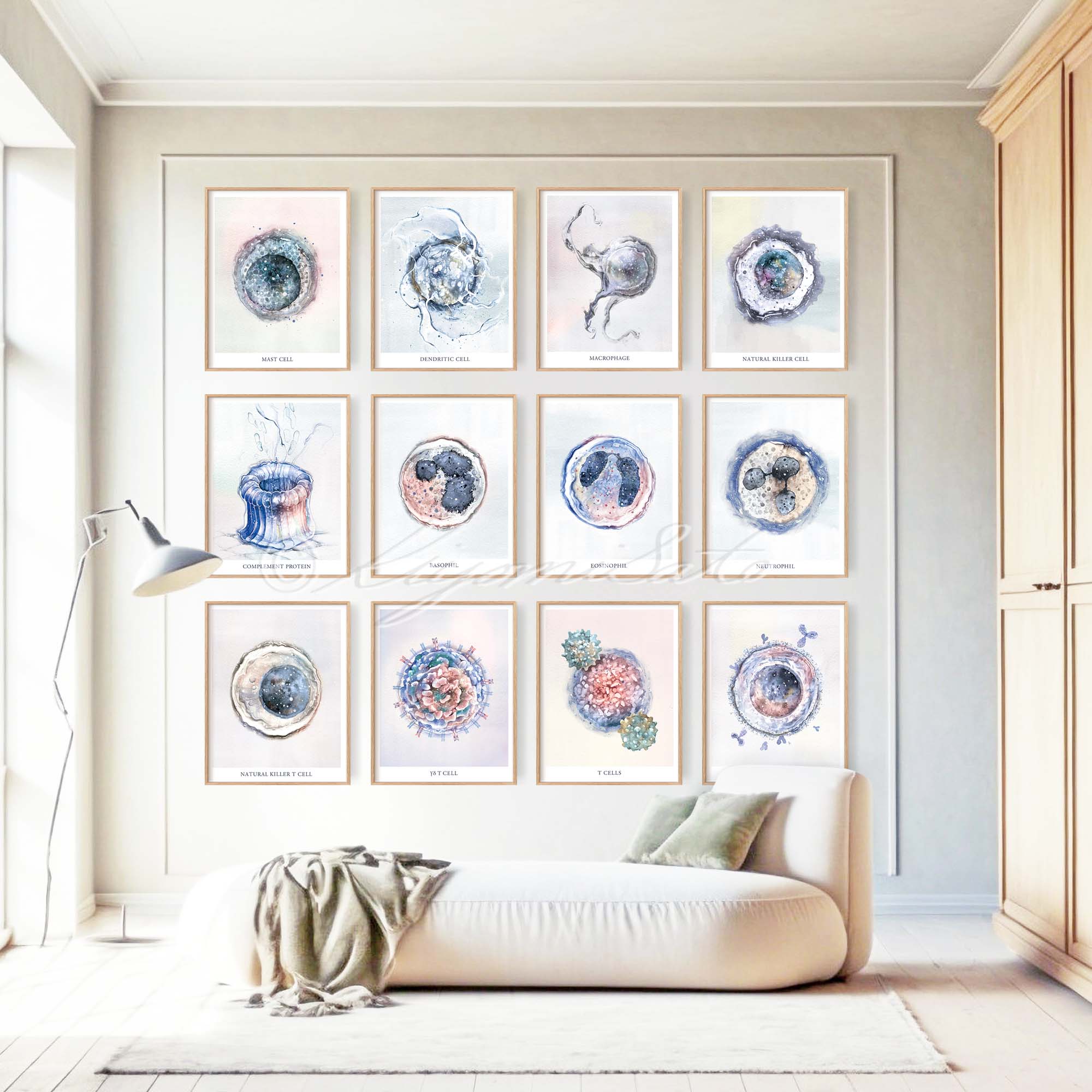 Immune System 12 posters set – The Forest Cloak