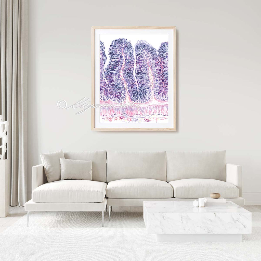 Dog Jejunum Histology Art