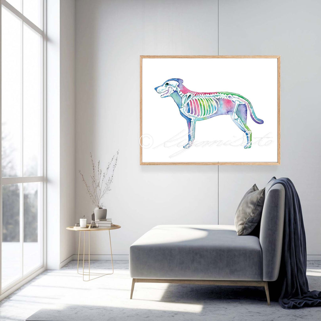 Dog Skeletal System Horizontal Art