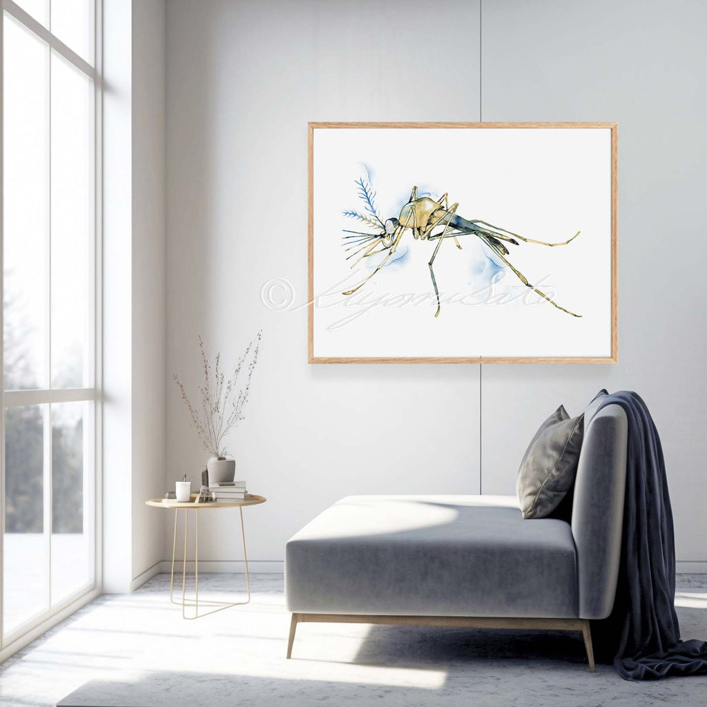 Mosquito Side View Horizontal