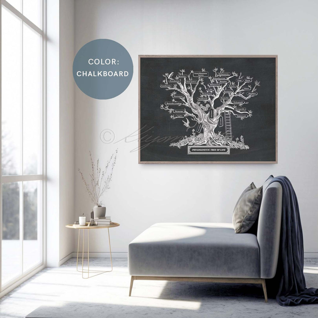 Microbiology Phylogenetic Tree Of Life
