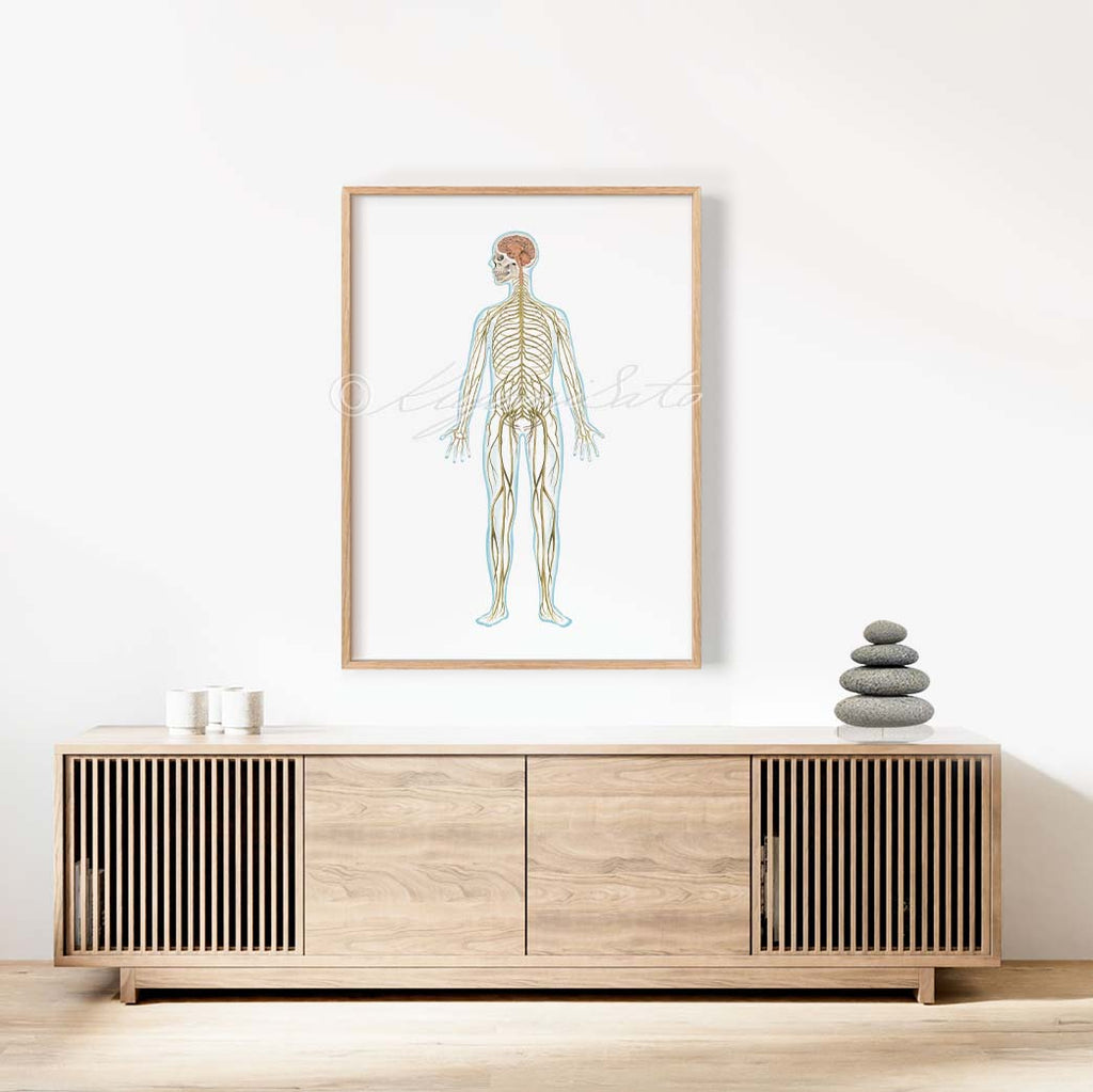 Nervous System Art Poster