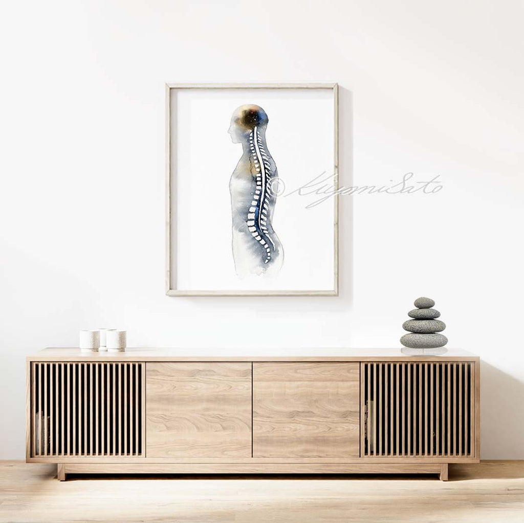 Spine Anatomy Art