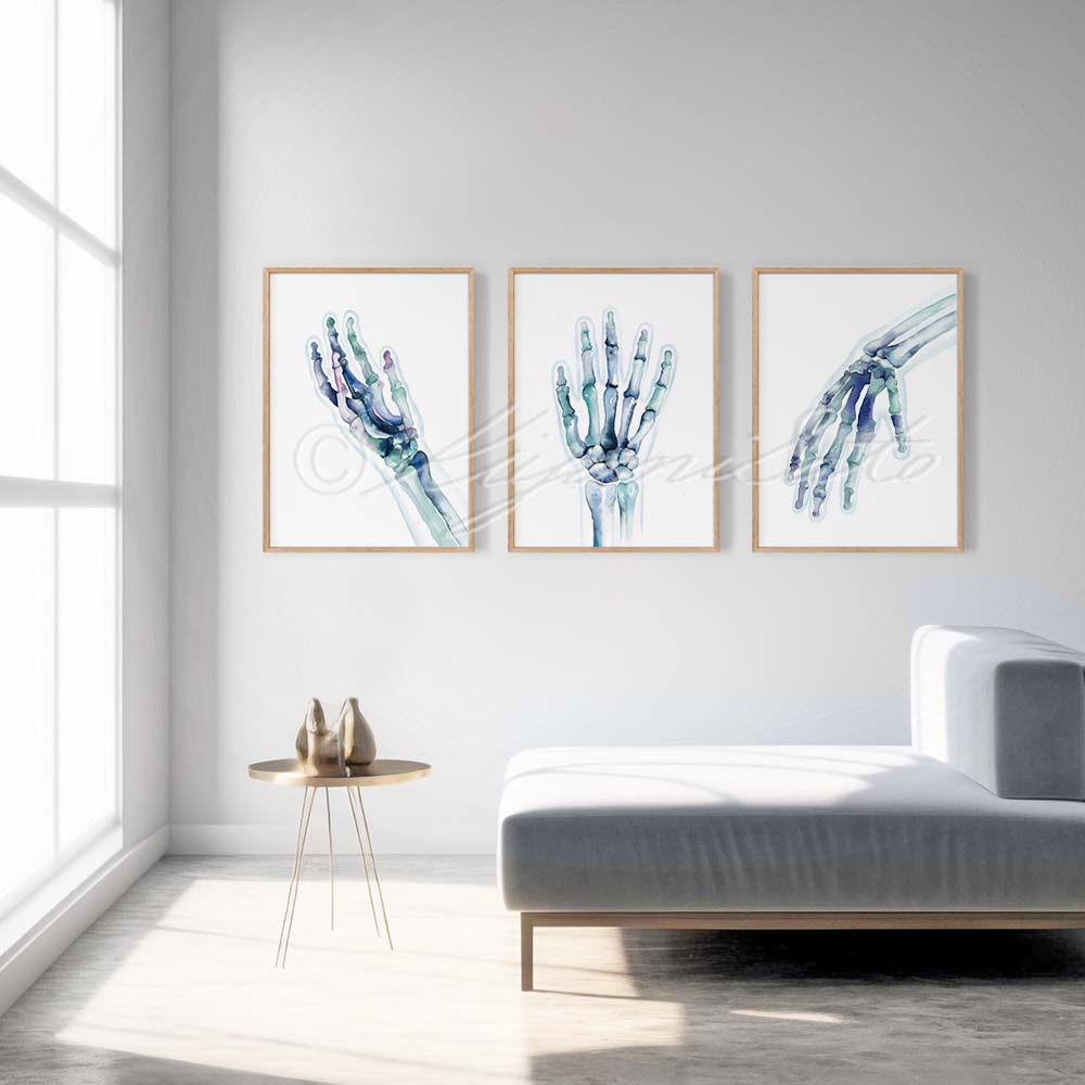 Hand Bones Posters Set of 3