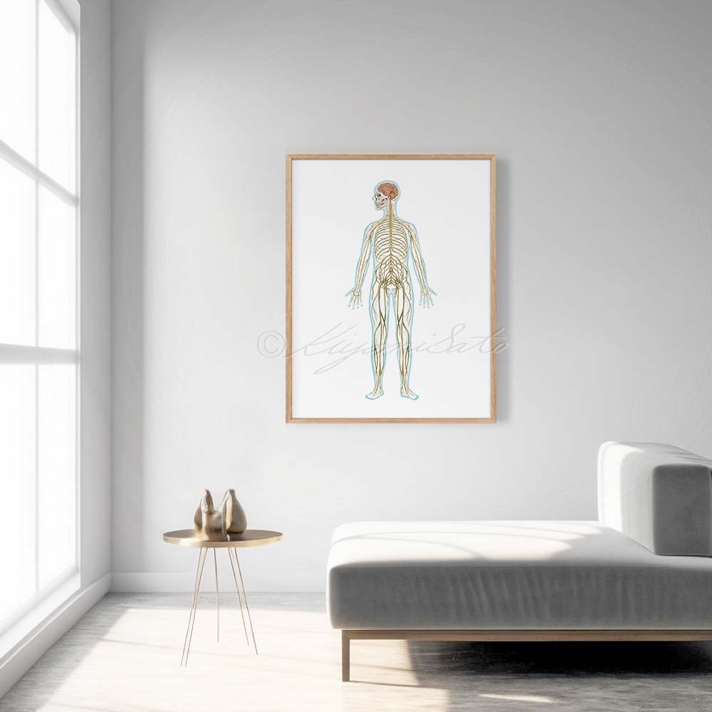 Nervous System Art Poster