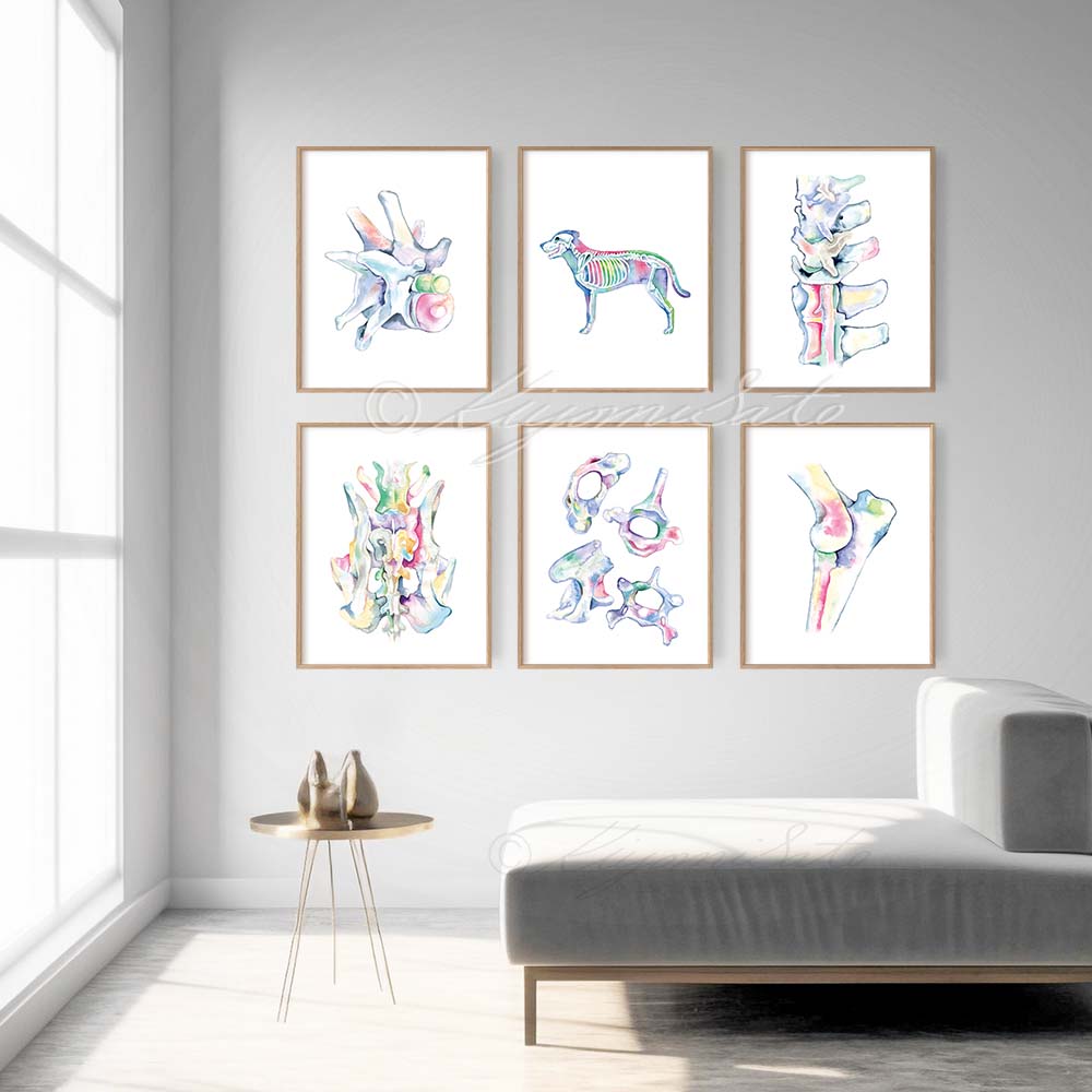 Dog Orthopedics Art poster set of 6