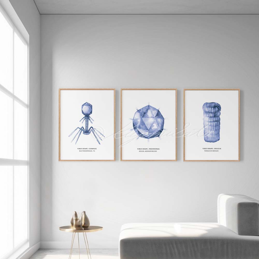 Virus shape Art Poster Set of 3