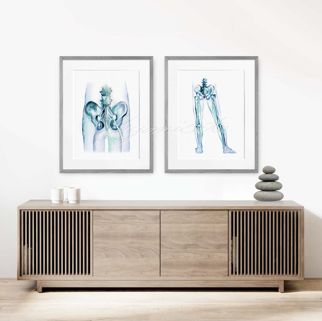 Sciatic Nerve Art Prints Set of 2