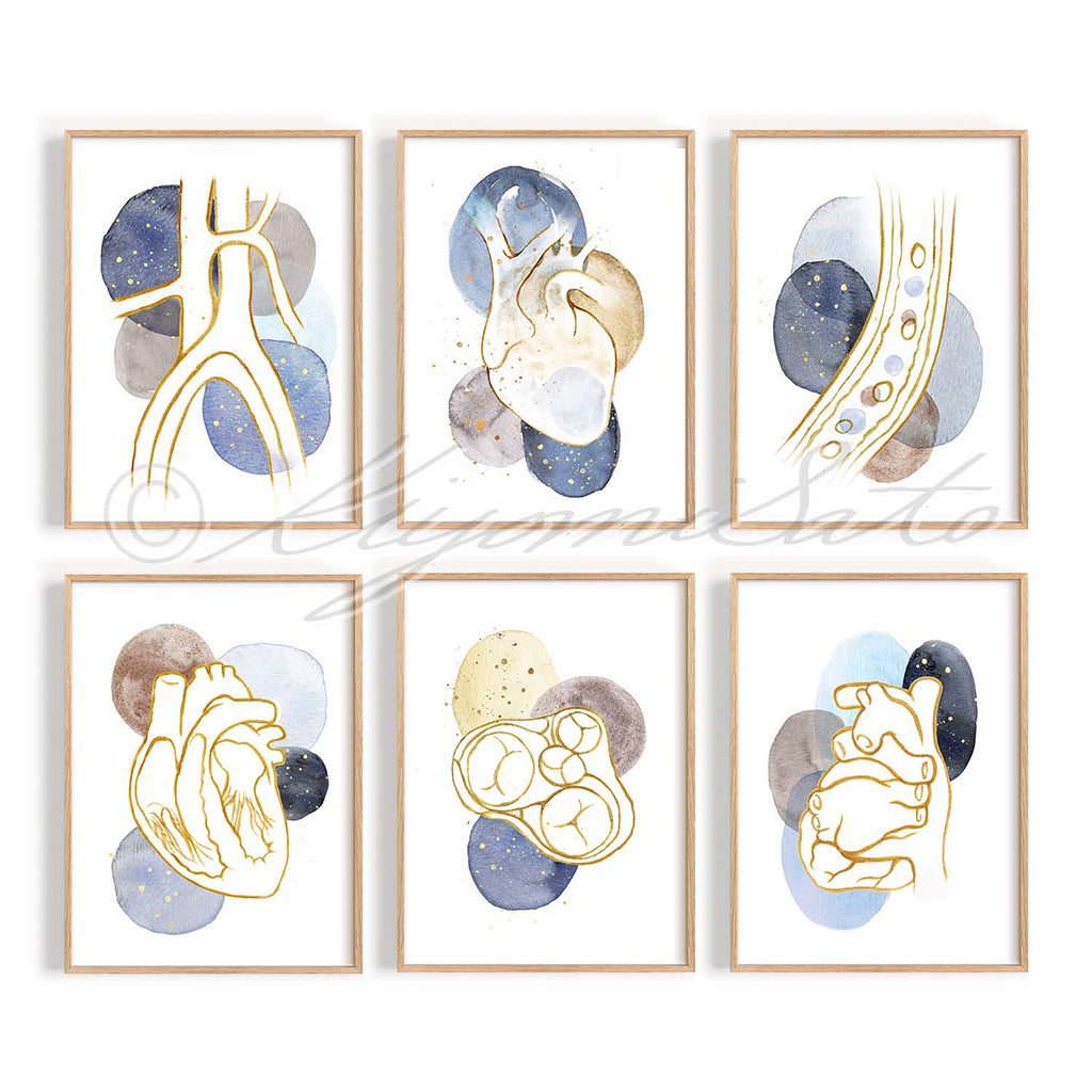 Heart Anatomy Minimalist Art poster set of 6