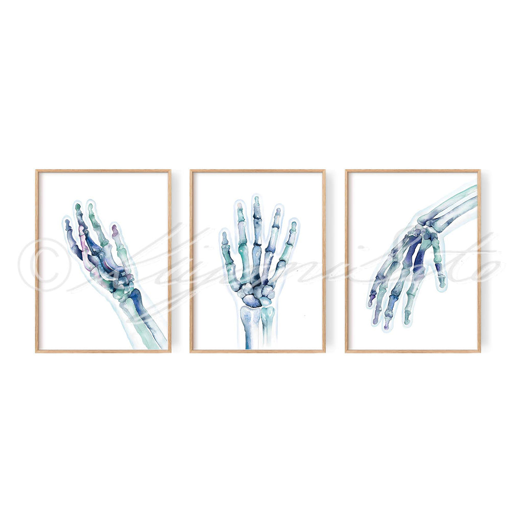 Hand Bones Posters Set of 3