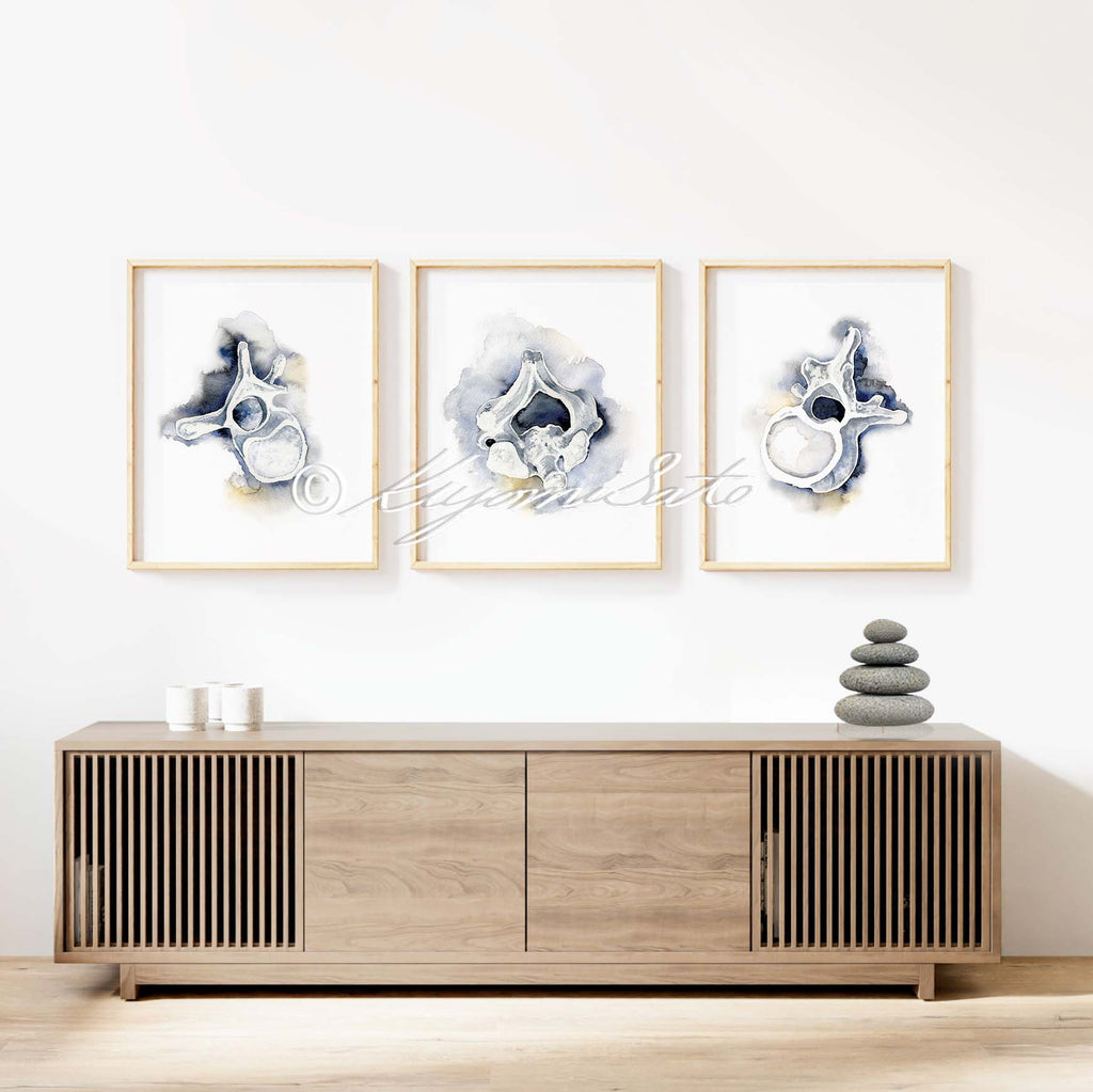 Vertebrae Art poster set of 3