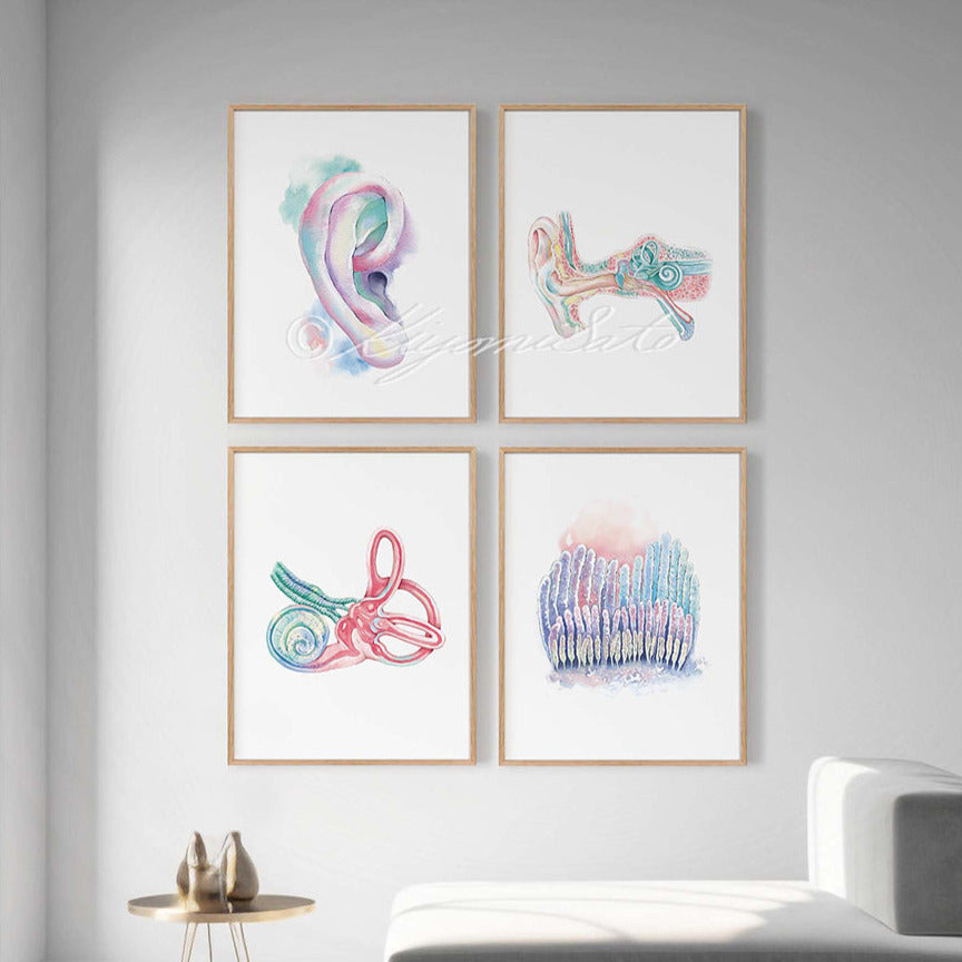 Ear Otolaryngologist Art 4 print set