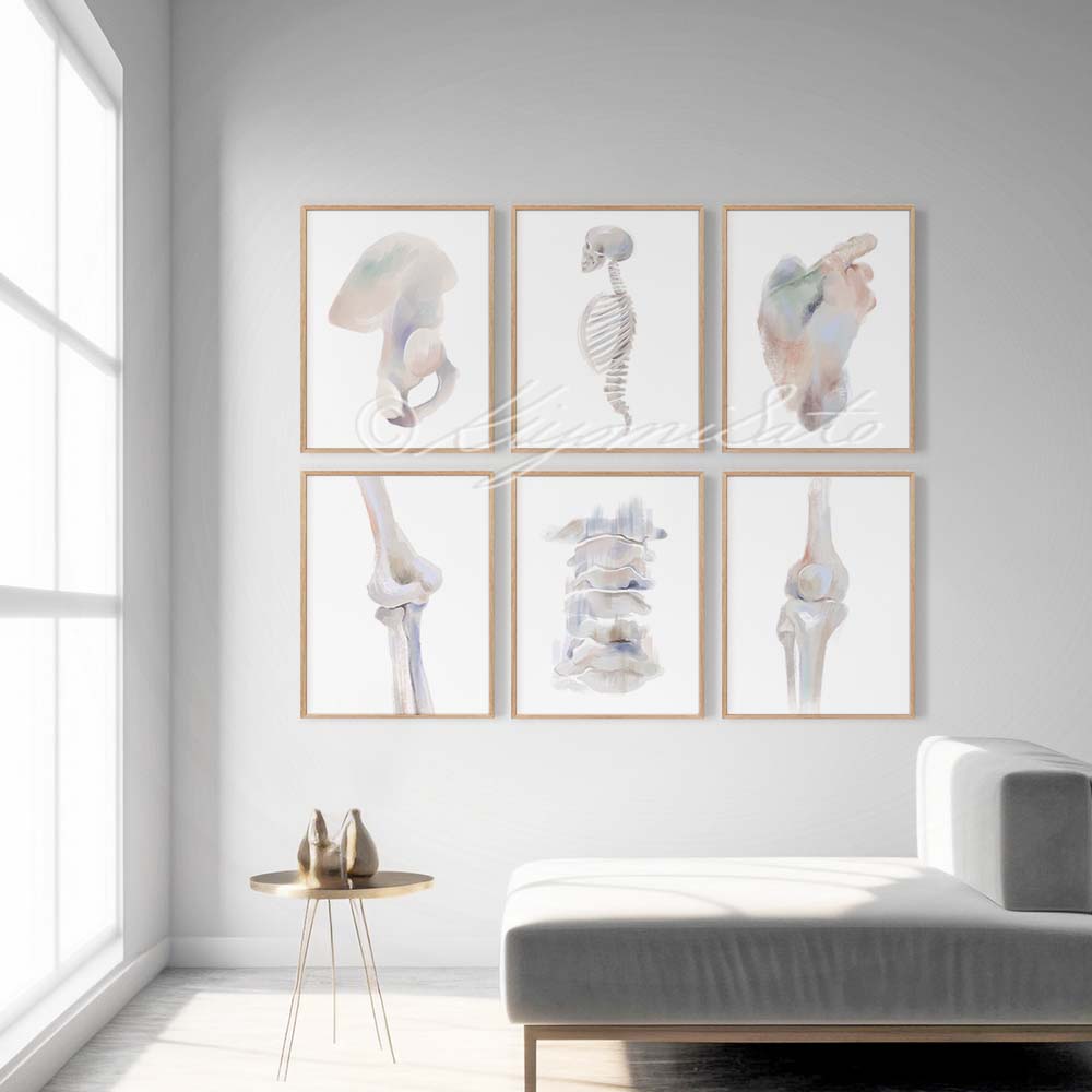 Physical Therapy Orthopedics Gallery Art poster set of 6