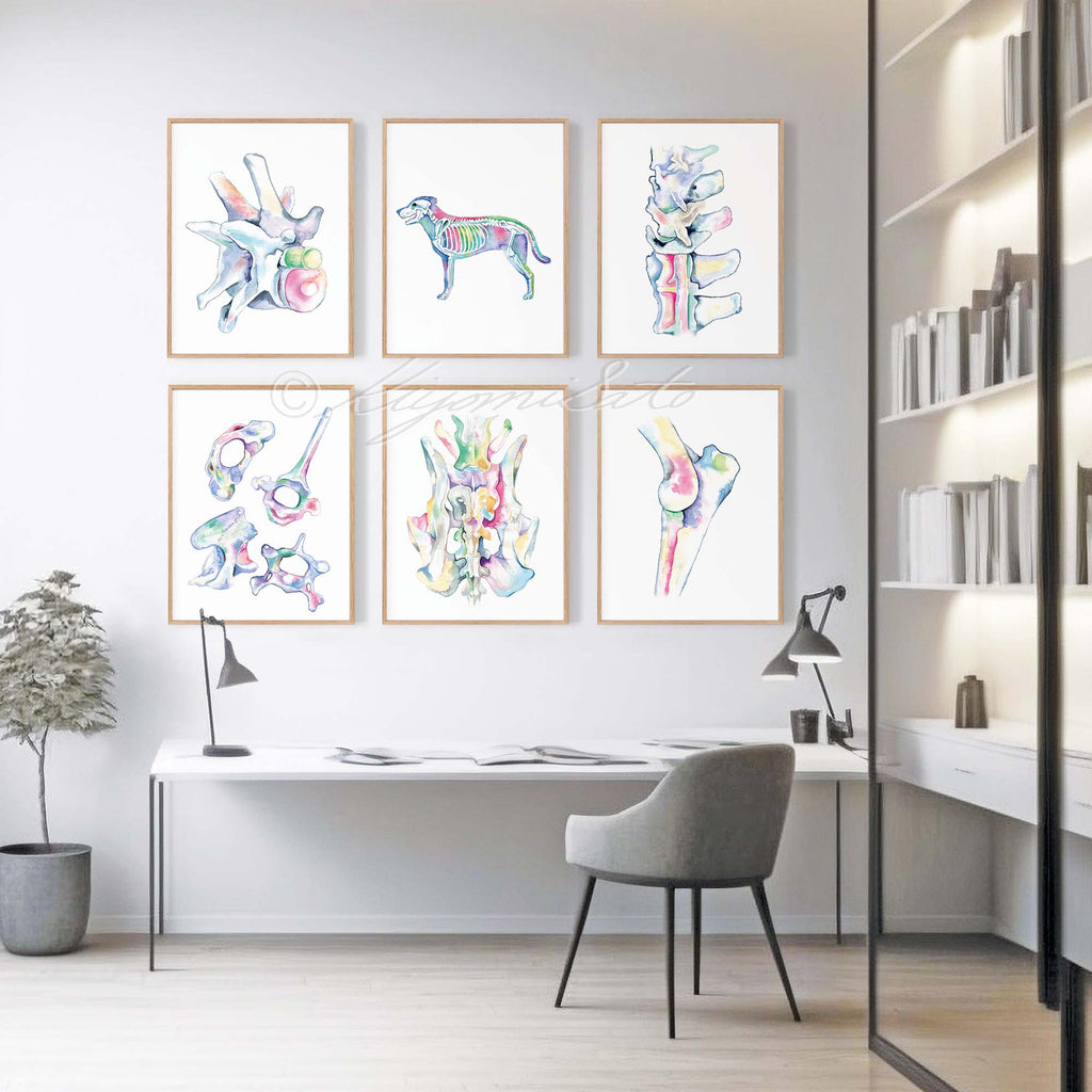 Dog Orthopedics Art poster set of 6