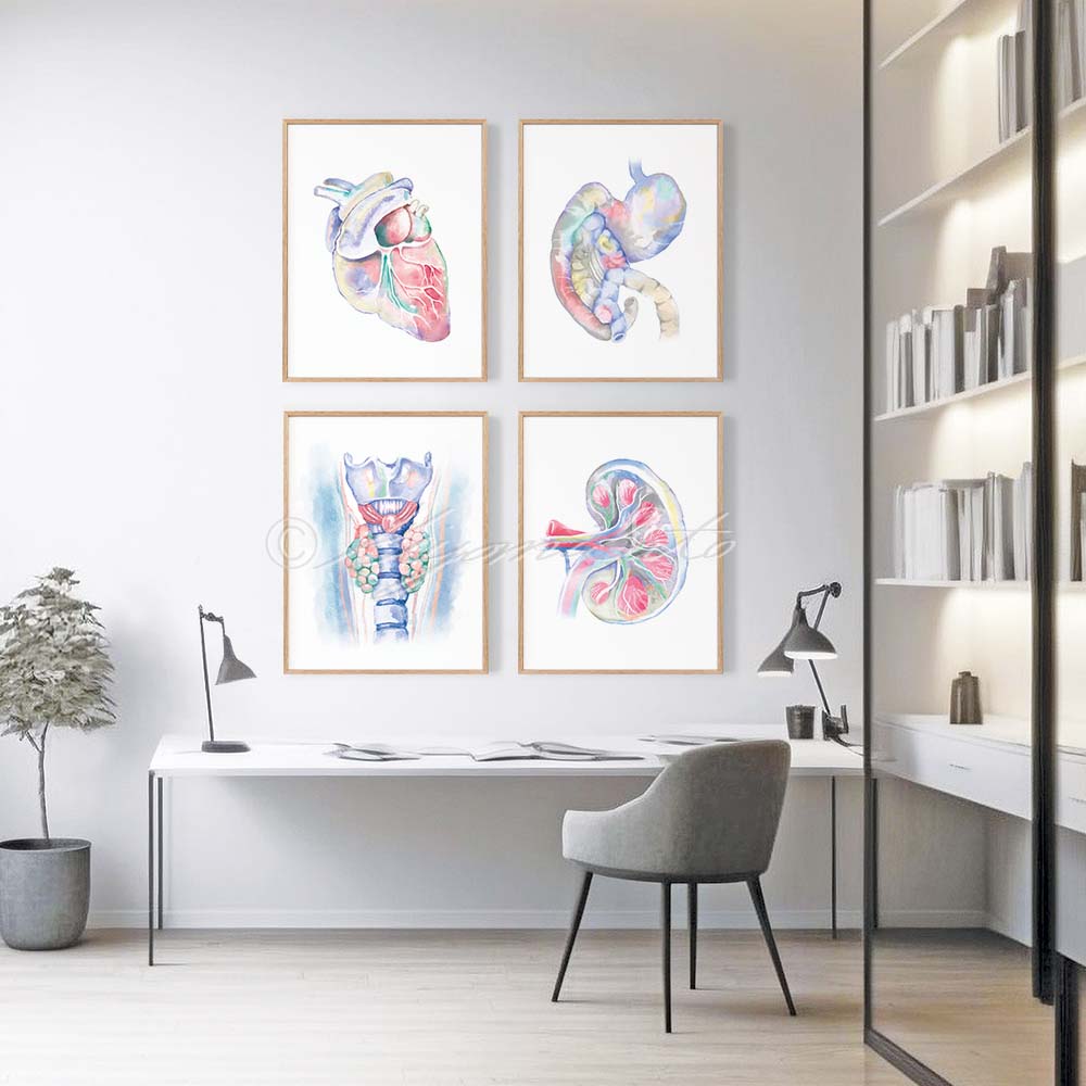 Canine Anatomy Art 4 print set