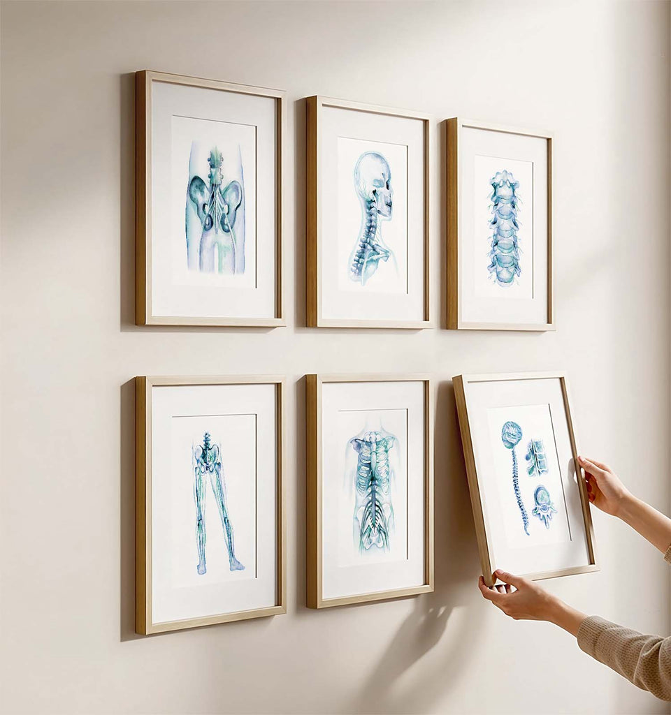 Orthopedics Nerve Art poster set of 6