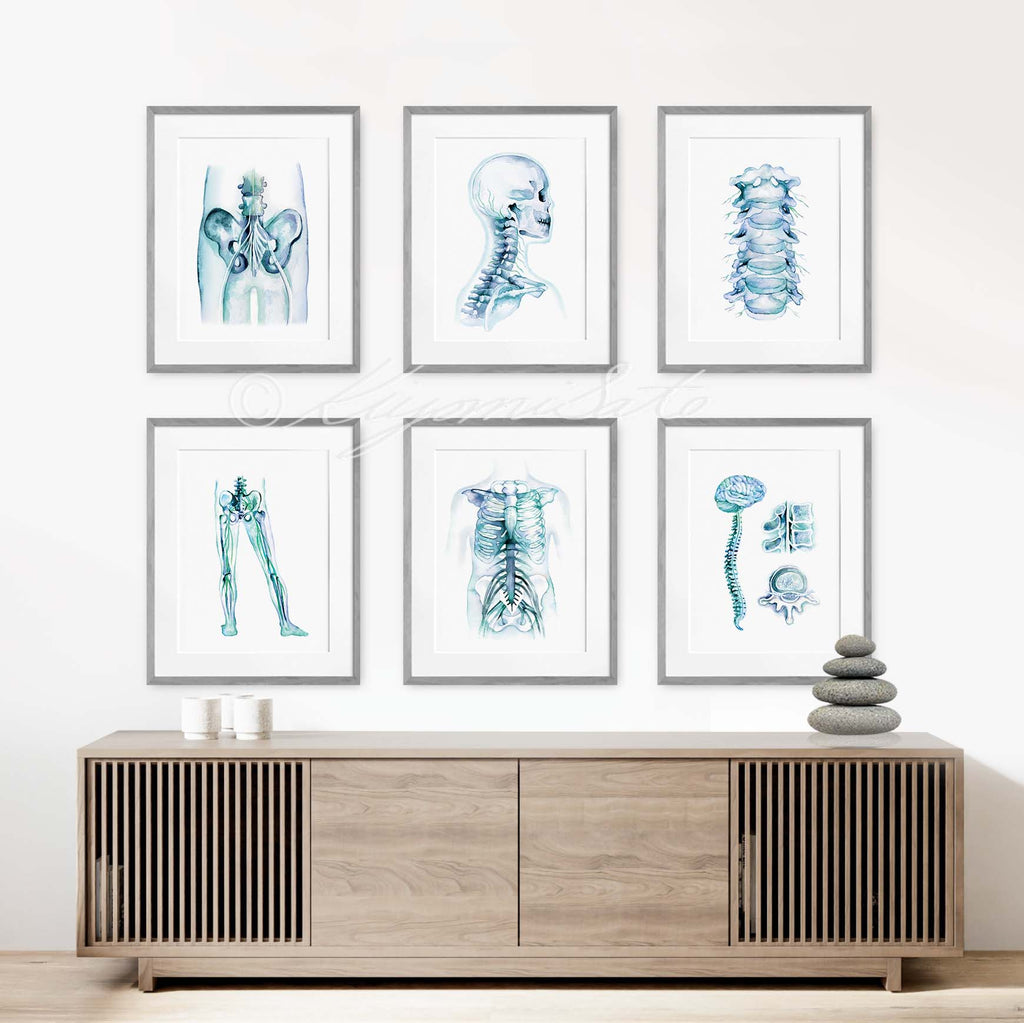 Orthopedics Nerve Art poster set of 6