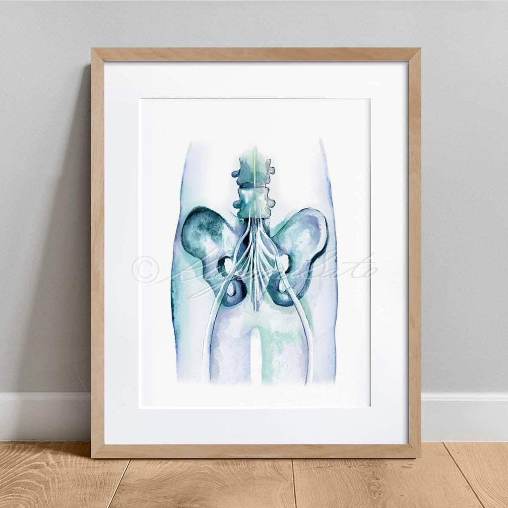 Orthopedics Nerve Art poster set of 6