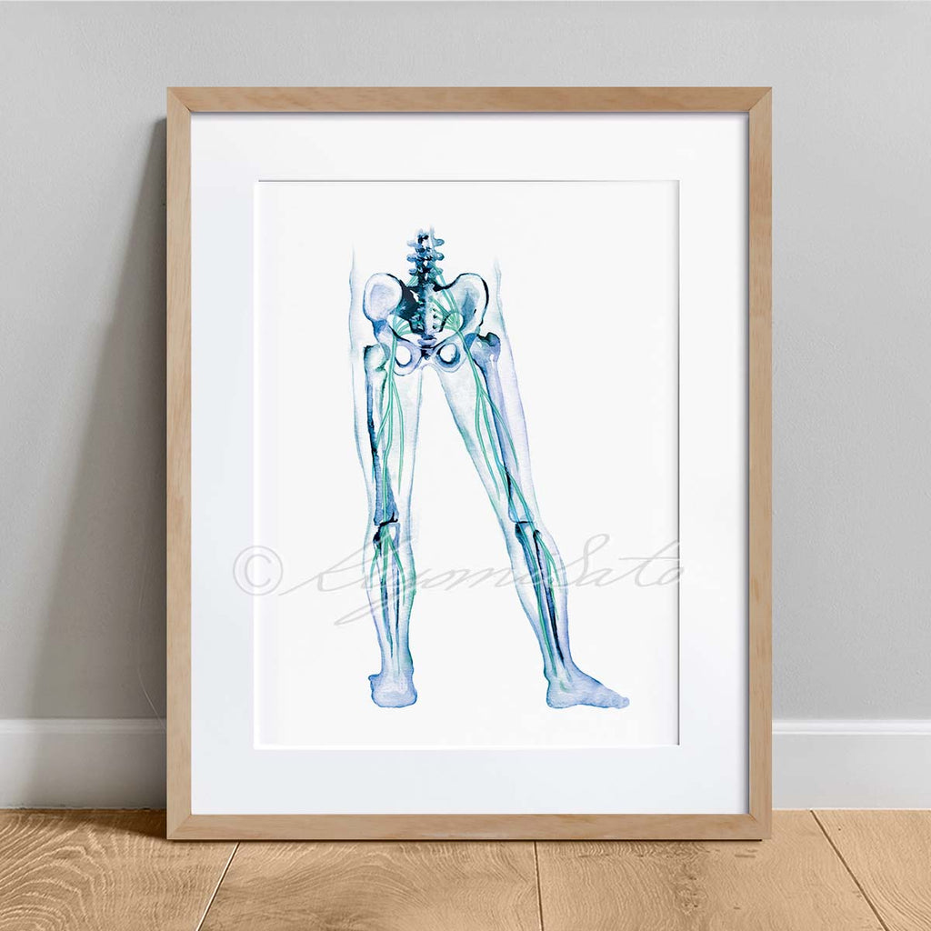 Orthopedics Nerve Art poster set of 6