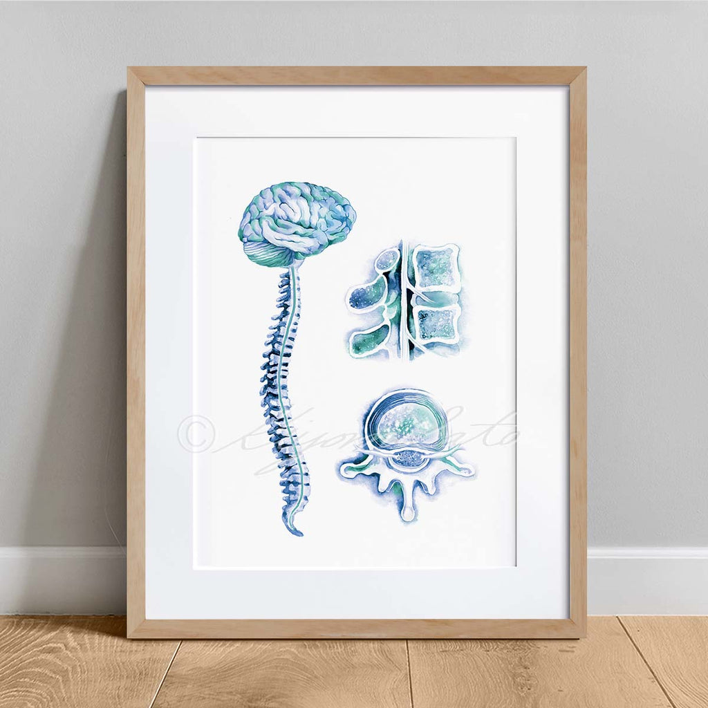 Orthopedics Nerve Art poster set of 6