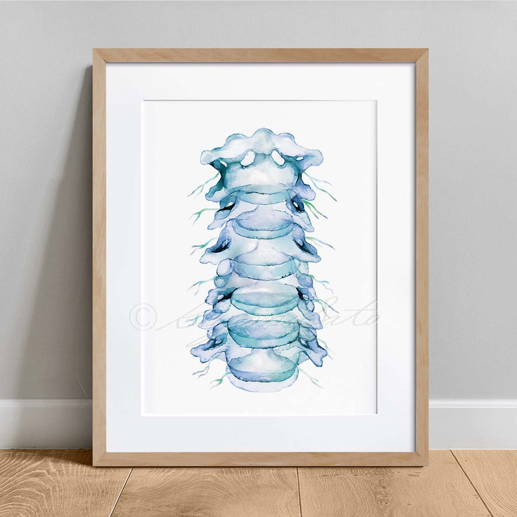 Orthopedics Nerve Art poster set of 6