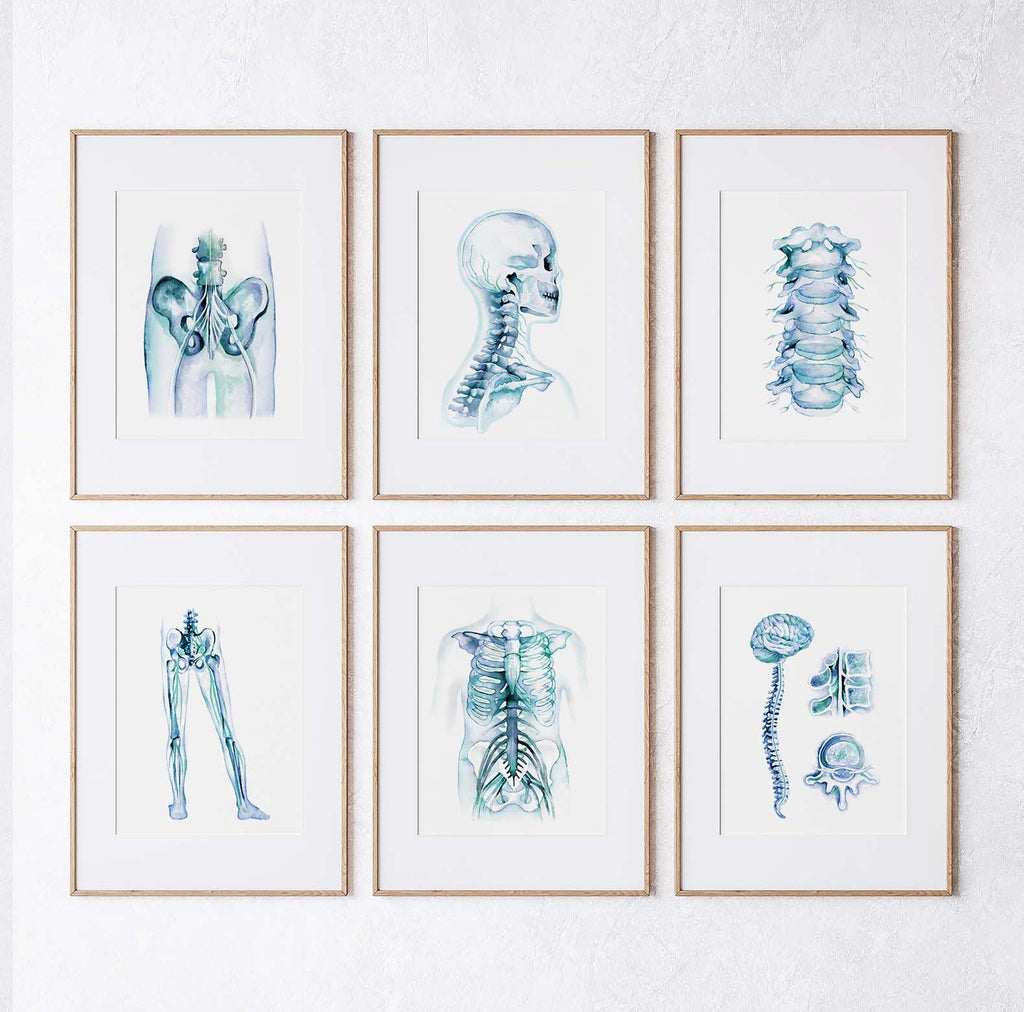 Orthopedics Nerve Art poster set of 6