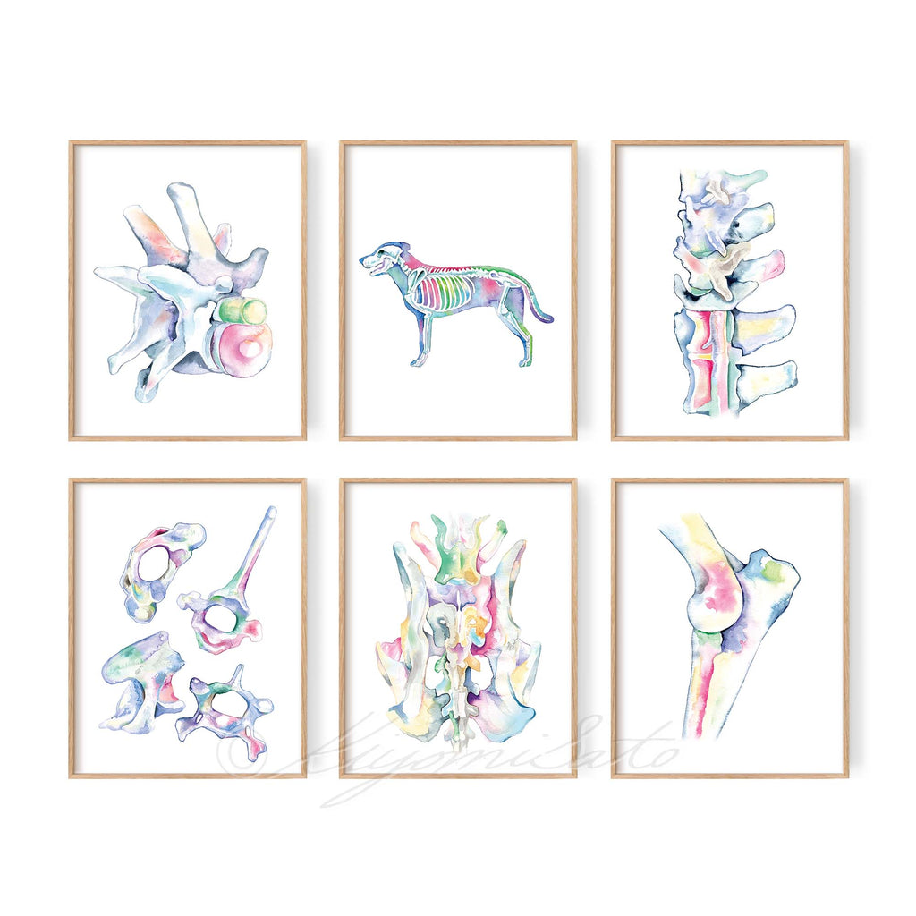 Dog Orthopedics Art poster set of 6
