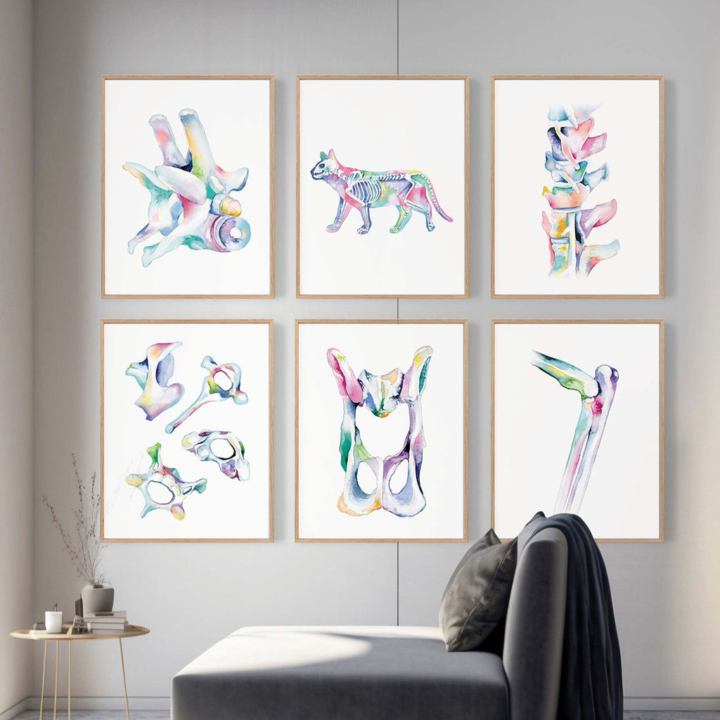 Cat Orthopedics Art poster set of 6