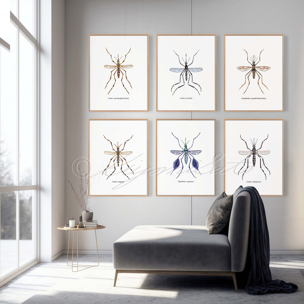 Mosquito Art poster set of 6