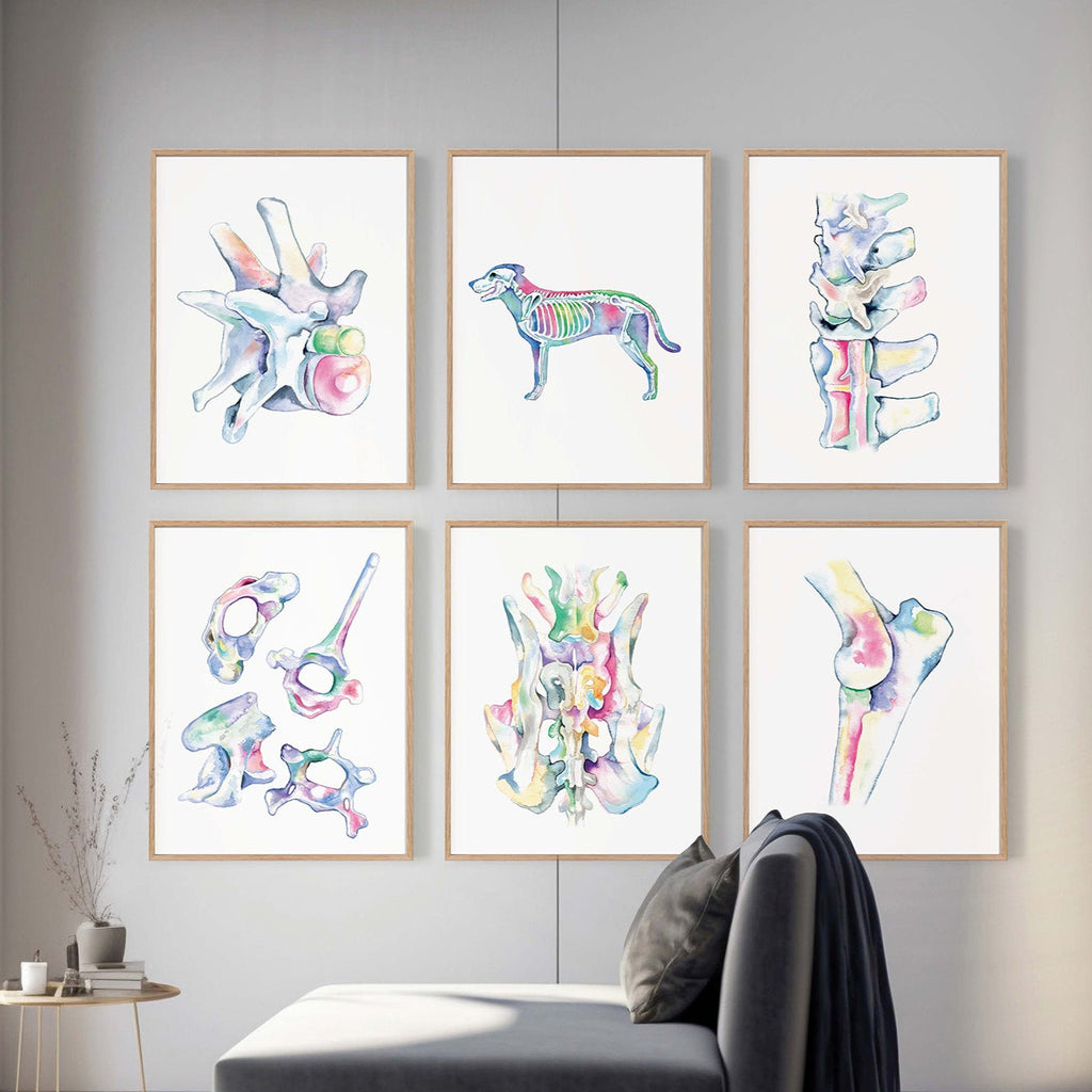 Dog Orthopedics Art poster set of 6