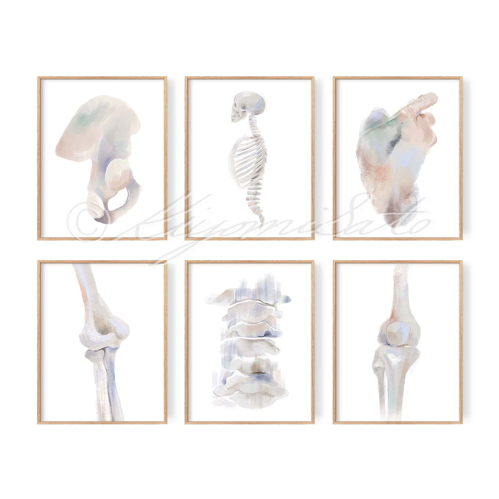 Physical Therapy Orthopedics Gallery Art poster set of 6