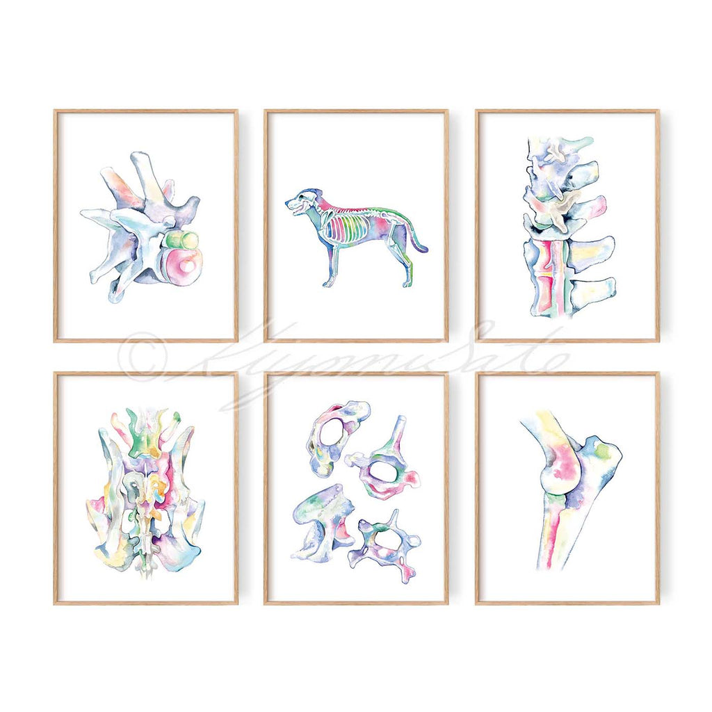 Dog Orthopedics Art poster set of 6
