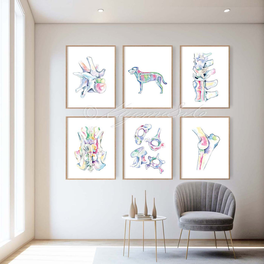 Dog Orthopedics Art poster set of 6