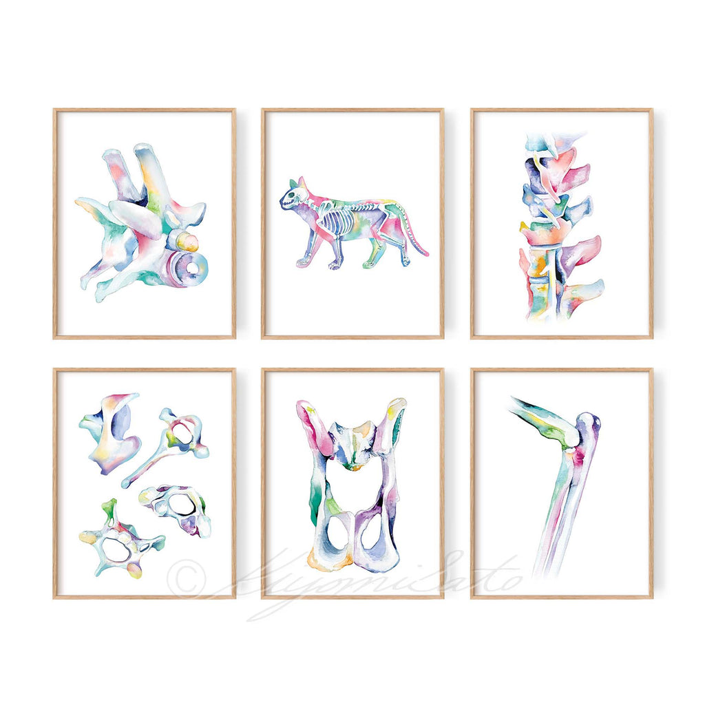 Cat Orthopedics Art poster set of 6