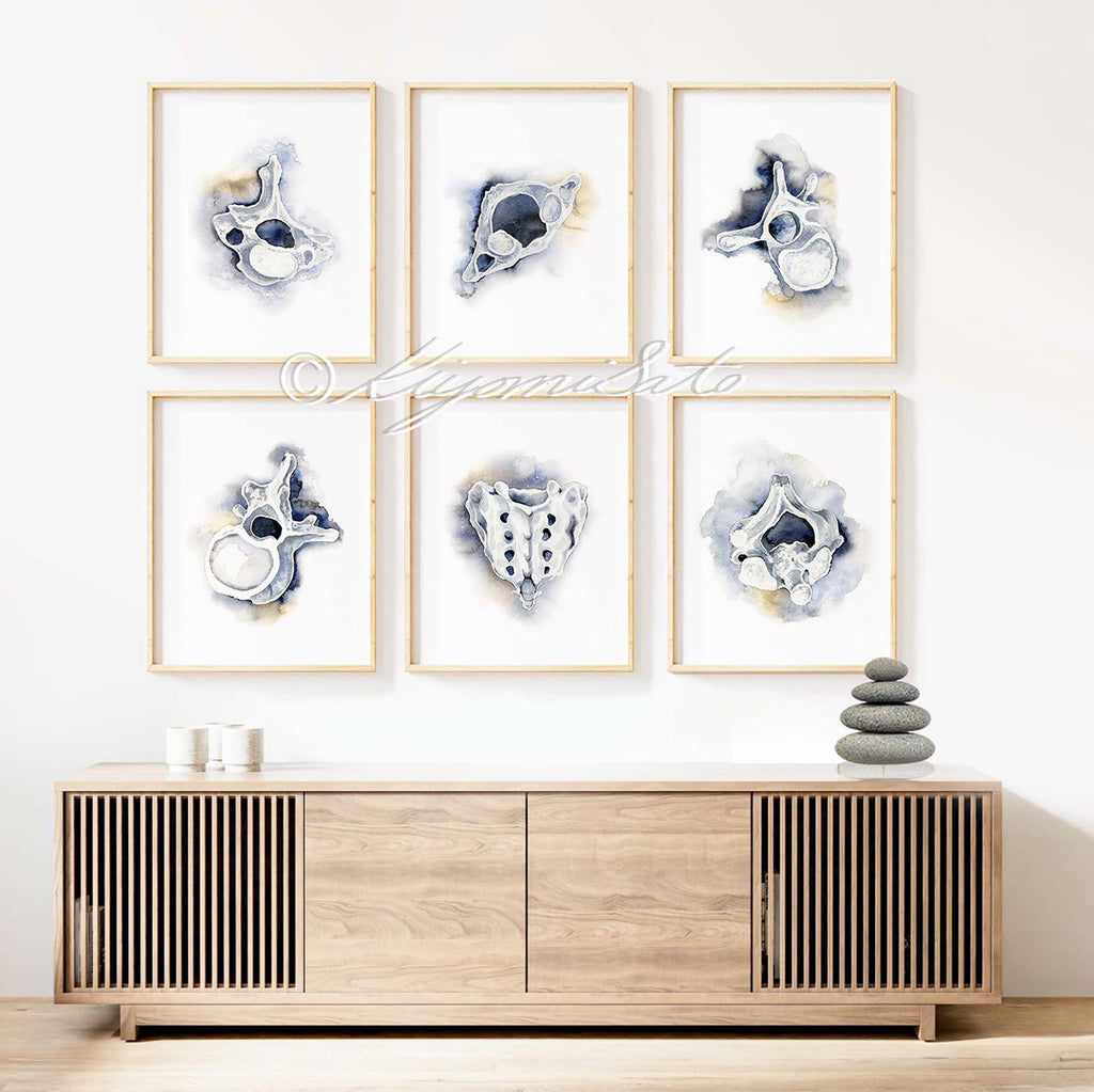 Vertebrae Gallery Art poster set of 6, Orthopedics Art