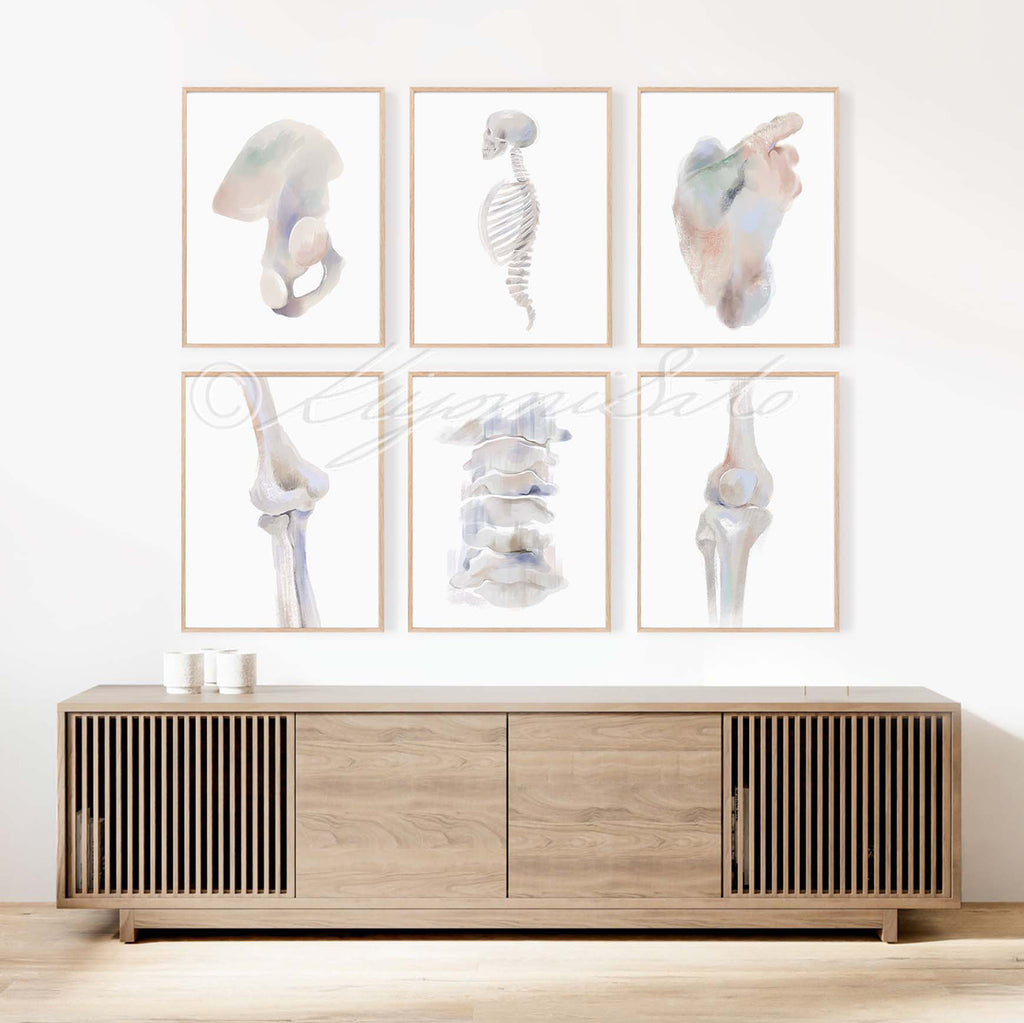 Physical Therapy Orthopedics Gallery Art poster set of 6