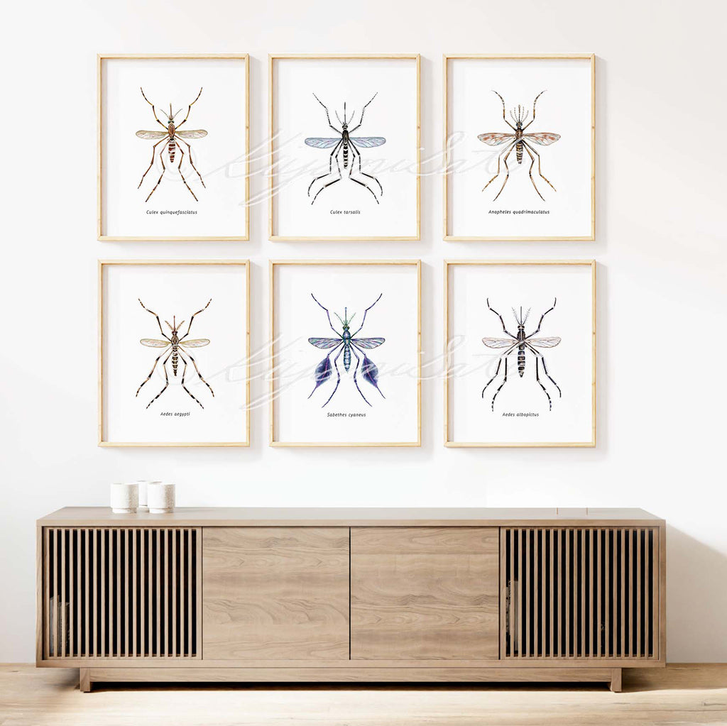 Mosquito Art poster set of 6
