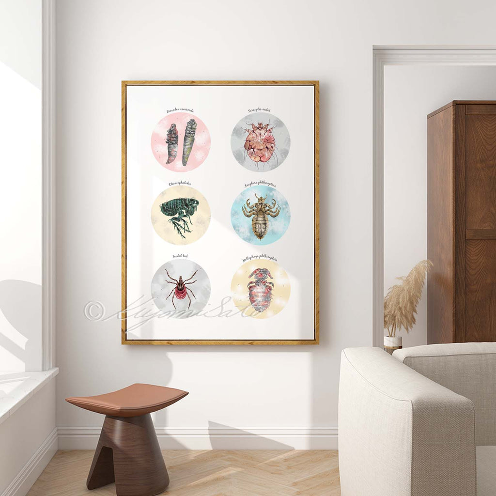 Canine External Parasites Collection