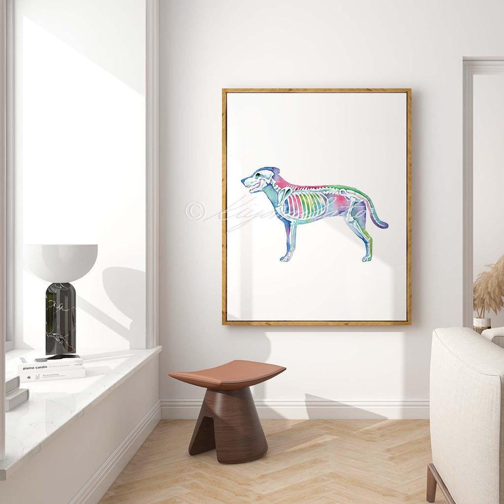 Dog Skeletal System Vertical Art