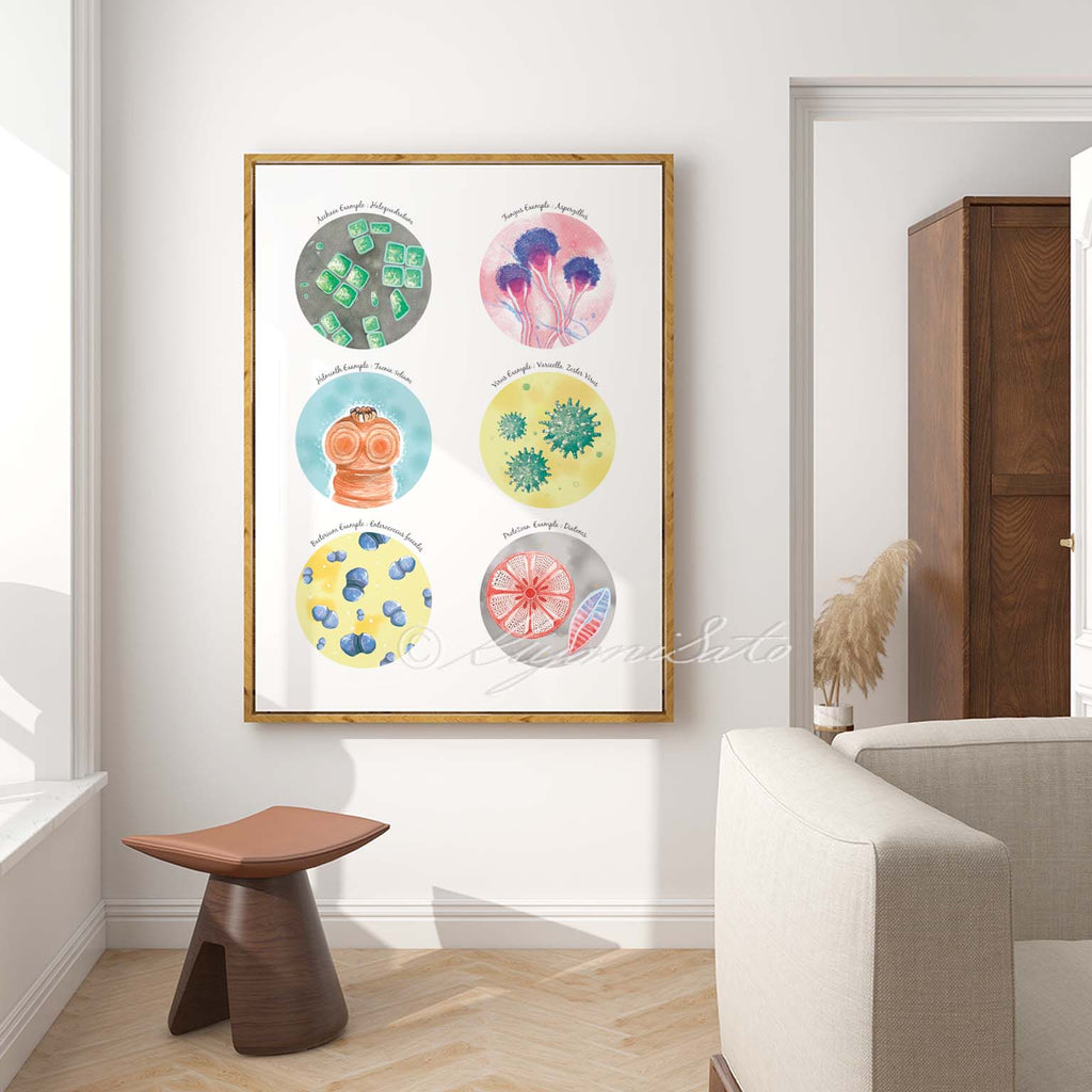Six Types of Microorganisms Collection
