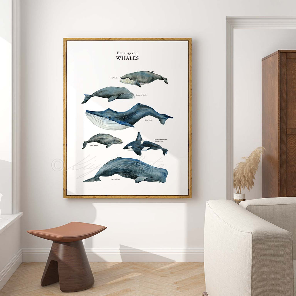 Whale Poster Endangered Whale Watercolor Painting