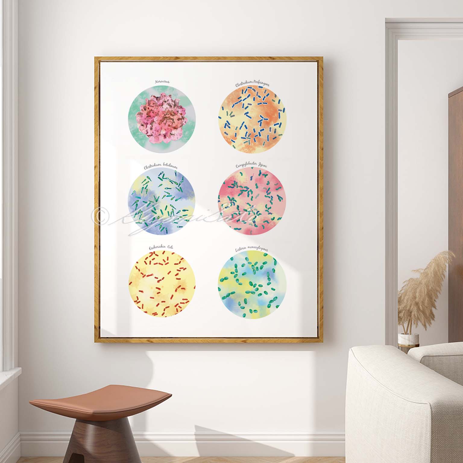 Foodborne Pathogens Collection – The Forest Cloak