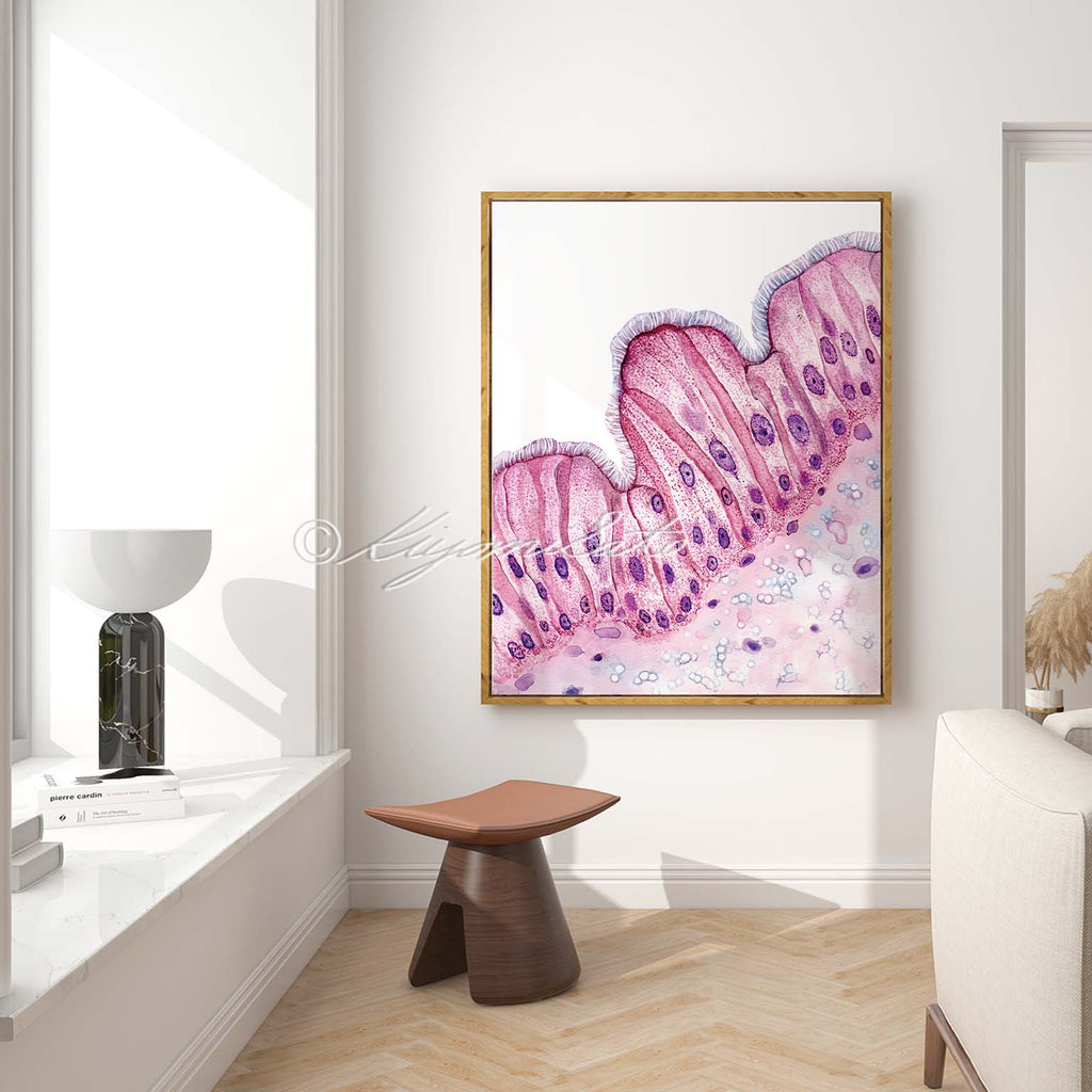 Cat Respiratory Epithelium Histology Art