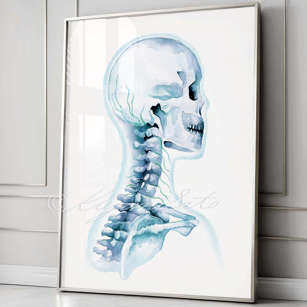 Cervical Nerve Art Poster
